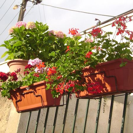 Rooms Diana Dubrovnik Ngoại thất bức ảnh