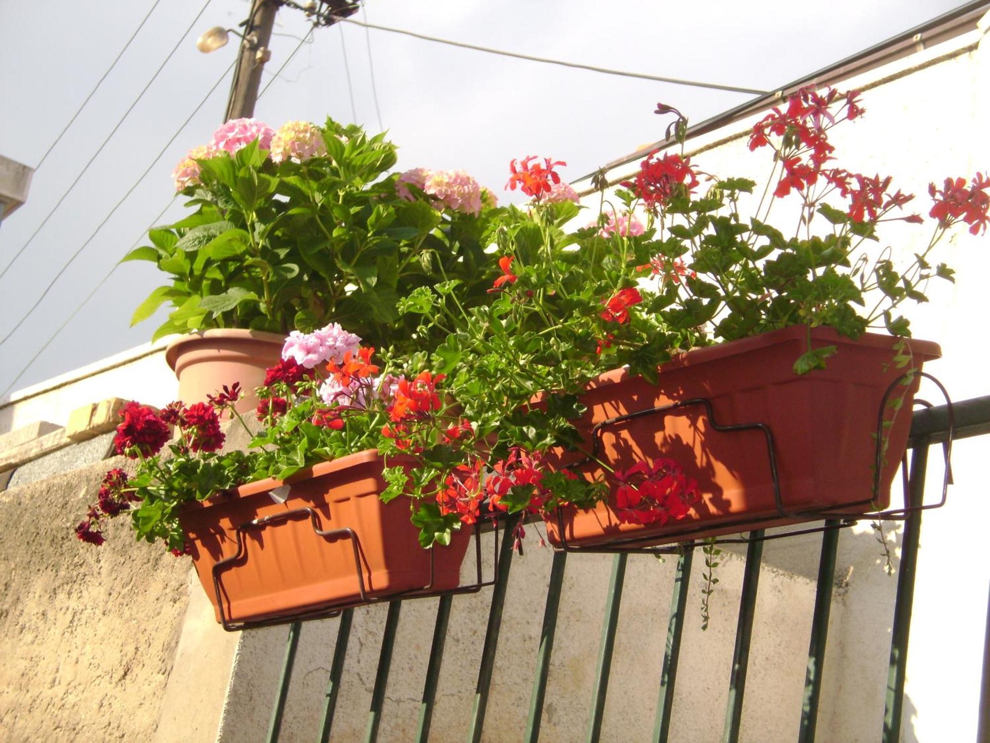 Rooms Diana Dubrovnik Ngoại thất bức ảnh