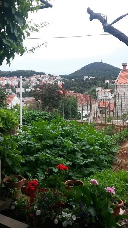 Rooms Diana Dubrovnik Ngoại thất bức ảnh
